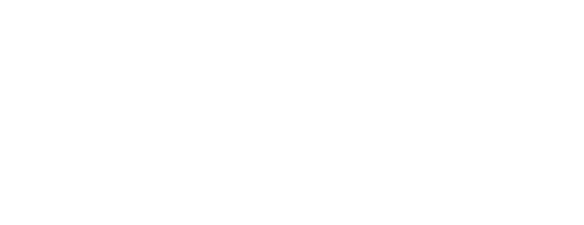 FAHRUDIN — Von Damaskus bis Oslo